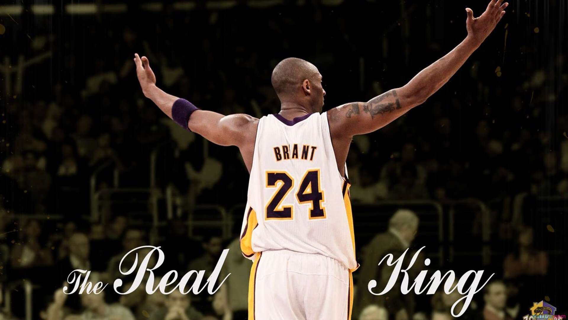 Leyu Sports (乐鱼体育)-CBA球队关注心理素质提升应对大赛压力，cba球迷素质排名